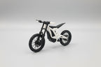Mini Surron LBX